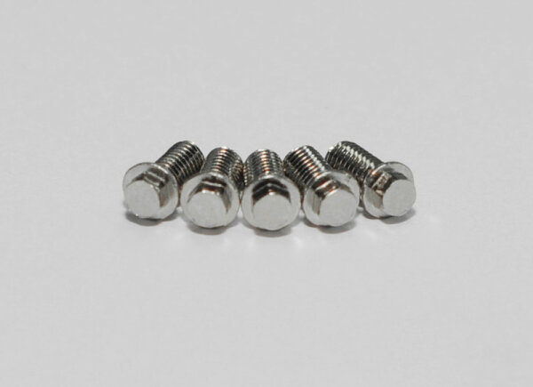 RC4WD Z-S0639 Mini Scale Hex Bolzen (M3 x 6mm) (Silber )