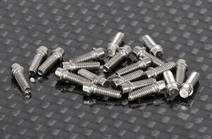 RC4WD Z-S1196 Mini Scale Hex Bolzen (M2 x 6mm) (Silber )