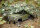 Killerbody KB48433 Filet camouflage 150x150cm