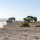 LOSI LOS05021 Super Baja Rey 2.0: camion del deserto elettrico 1/6 4wd