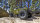 Element RC 40117 Enduro Ecto Trail Truck RTR, verde